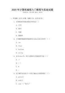 2025年計算機編程入門教程與實戰(zhàn)試題