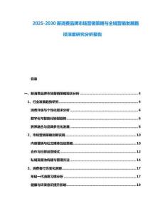 2025-2030新消費品牌市場營銷策略與全域營銷發展路徑深度研究分析報告