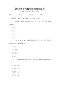 2026年中考數學解題技巧試題