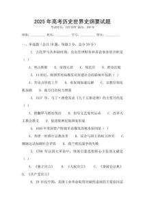 2025年高考歷史世界史綱要試題