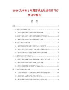 2026及未來5年扁形銅皮軟線項目可行性研究報告