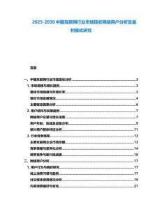 2025-2030中國互聯網行業市場現狀網絡用戶分析及盈利模式研究