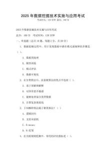 2025年数据挖掘技术实施与应用考试