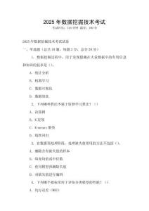 2025年数据挖掘技术考试