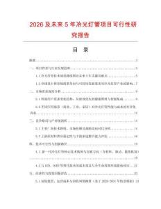 2026及未來5年冷光燈管項目可行性研究報告