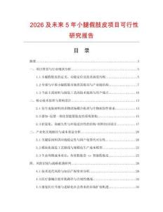 2026及未來5年小腿假肢皮項目可行性研究報告