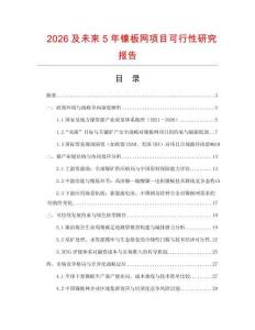 2026及未來(lái)5年鎳板網(wǎng)項(xiàng)目可行性研究報(bào)告