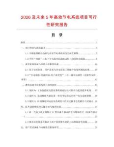 2026及未來5年高效節電系統項目可行性研究報告