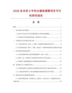 2026及未來5年熱水器排煙管項目可行性研究報告