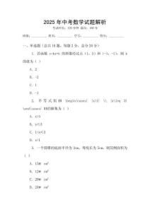 2025年中考數學試題解析