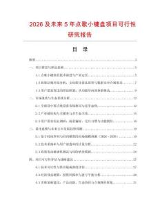 2026及未來5年點歌小鍵盤項目可行性研究報告