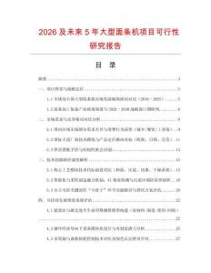 2026及未來5年大型面條機項目可行性研究報告