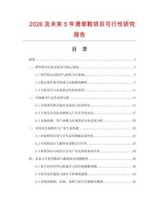 2026及未來5年滑草鞋項目可行性研究報告