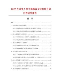 2026及未來5年不斷鋼絲切坯機項目可行性研究報告