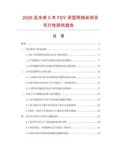 2026及未來5年FDY異型網(wǎng)絡(luò)絲項目可行性研究報告