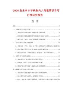 2026及未來5年鐵制內(nèi)六角套筒項目可行性研究報告