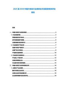 2025至2030中國片麻巖行業調研及市場前景預測評估報告