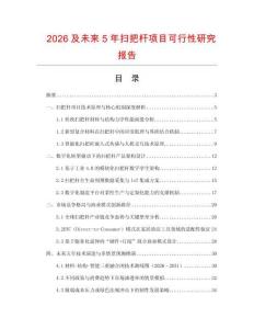 2026及未來(lái)5年掃把桿項(xiàng)目可行性研究報(bào)告