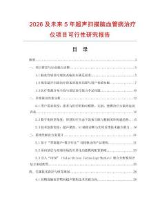 2026及未來(lái)5年超聲掃描腦血管病治療儀項(xiàng)目可行性研究報(bào)告