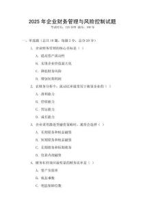 2025年企業(yè)財(cái)務(wù)管理與風(fēng)險(xiǎn)控制試題