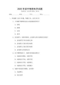2025年初中物理電學試題