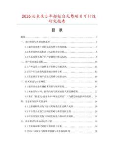 2026及未来5年超轻自充垫项目可行性研究报告