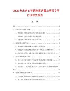 2026及未來5年鋼制直角截止閥項目可行性研究報告