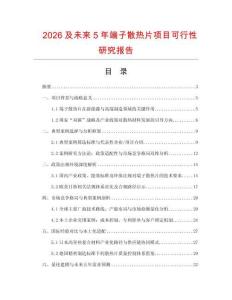 2026及未來5年端子散熱片項目可行性研究報告