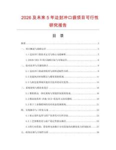 2026及未來5年邊封沖口袋項目可行性研究報告