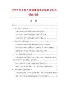 2026及未來5年彈簧電烘爐項目可行性研究報告