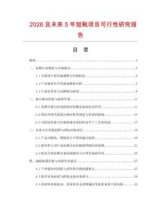 2026及未來5年短靴項目可行性研究報告