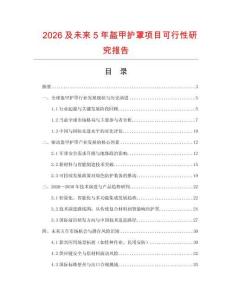 2026及未來5年盔甲護罩項目可行性研究報告