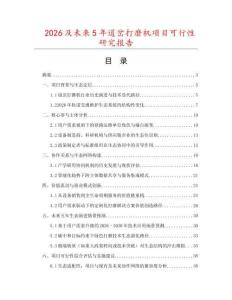 2026及未來5年道岔打磨機(jī)項(xiàng)目可行性研究報(bào)告