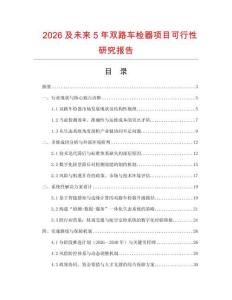 2026及未來5年雙路車檢器項目可行性研究報告