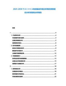 2025-2030ラストマイル物流輸送市場分析現狀調査競合分析雙競局分析報告