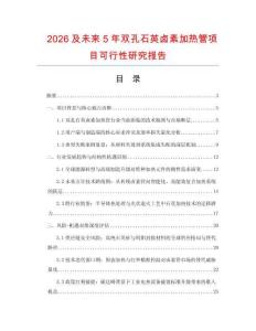 2026及未來5年雙孔石英鹵素加熱管項目可行性研究報告
