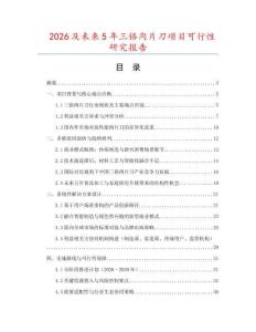 2026及未來5年三鉻肉片刀項目可行性研究報告