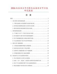 2026及未來5年竹酢足浴液項(xiàng)目可行性研究報(bào)告