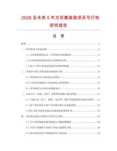 2026及未來(lái)5年方形集裝袋項(xiàng)目可行性研究報(bào)告
