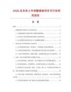 2026及未來5年硅酸鎂板項目可行性研究報告