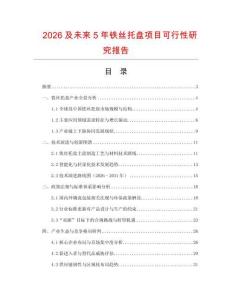 2026及未來5年鐵絲托盤項目可行性研究報告