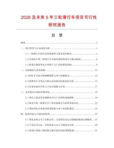 2026及未來5年三輪滑行車項目可行性研究報告