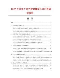 2026及未來5年方肥皂碟項目可行性研究報告