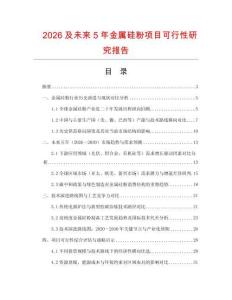 2026及未來5年金屬硅粉項(xiàng)目可行性研究報告