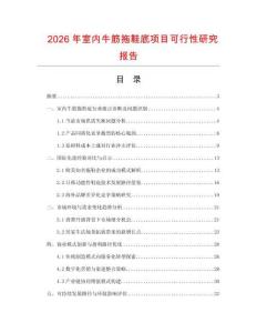 2026年室內(nèi)牛筋拖鞋底項(xiàng)目可行性研究報(bào)告