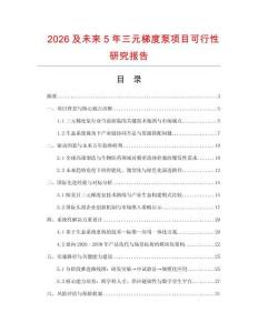 2026及未來5年三元梯度泵項(xiàng)目可行性研究報告