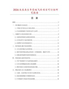 2026及未來5年雪地飛車項(xiàng)目可行性研究報(bào)告