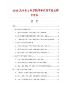 2026及未來5年手腕汗帶項目可行性研究報告