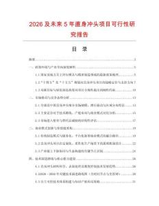 2026及未來5年直身沖頭項目可行性研究報告
