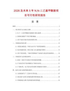 2026及未來5年NN-二乙基甲酰胺項目可行性研究報告